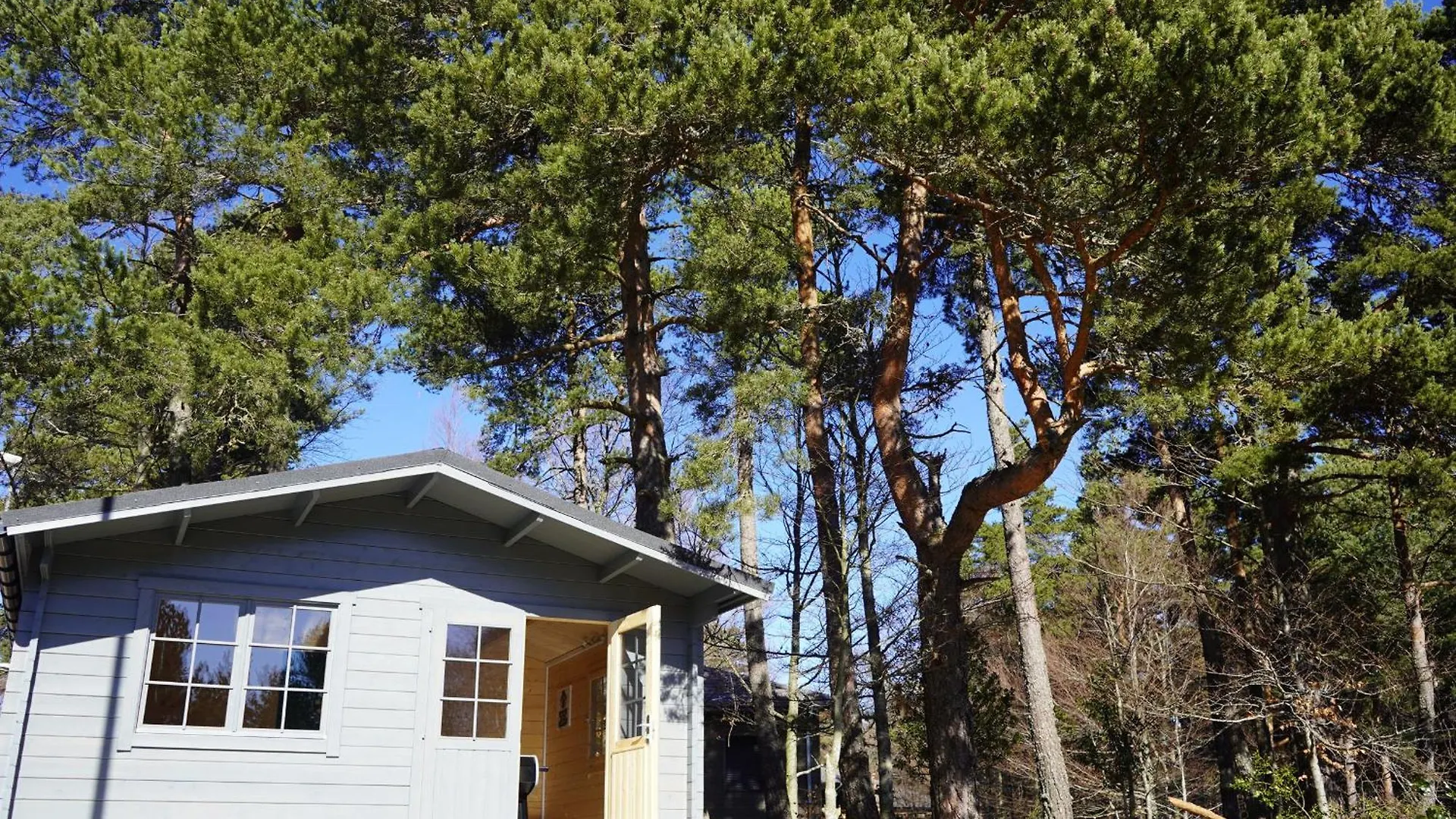 Lodge Luxe Au Golf Avec Bain A Remous, Piscine, Salles De Sport Et Bien-Etre, Jeux Pour Tous Ages - Fr-1-582-371 Le Chambon-sur-Lignon 0*,  Γαλλία